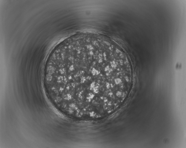 X0000114720049200911121741