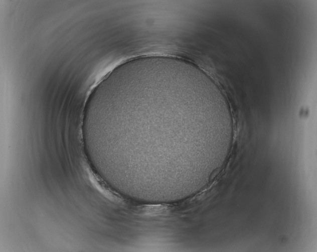 X0000114720050200911121741