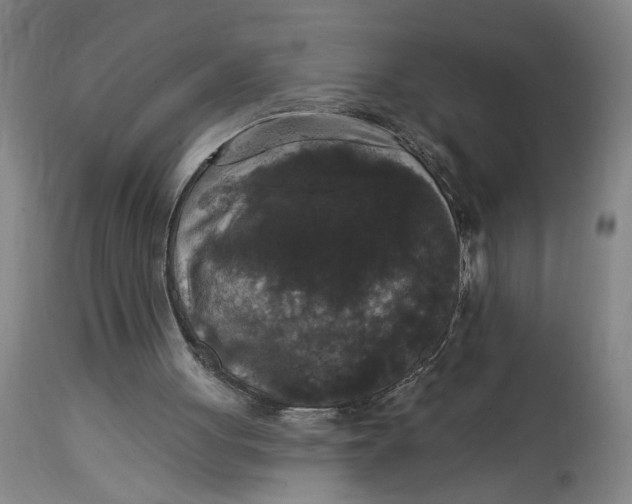 X0000114720051200911121741