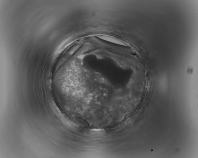 X0000114720053200911121741