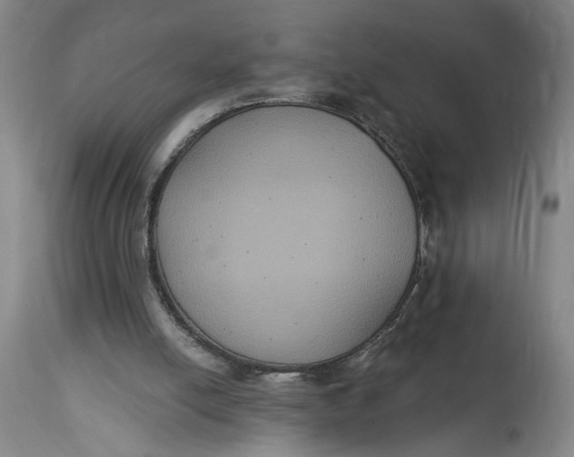 X0000114720054200911121741