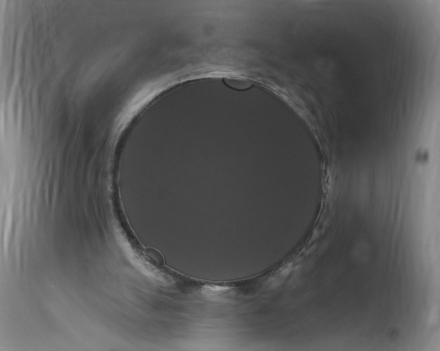 X0000114720055200911121741