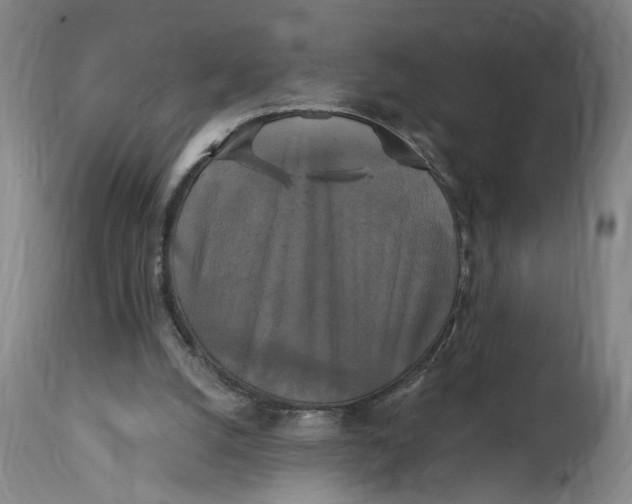 X0000114720056200911121741