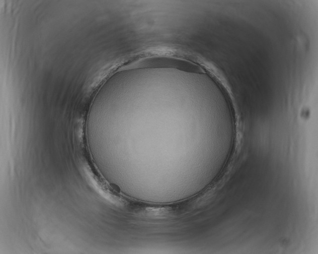 X0000114720057200911121741