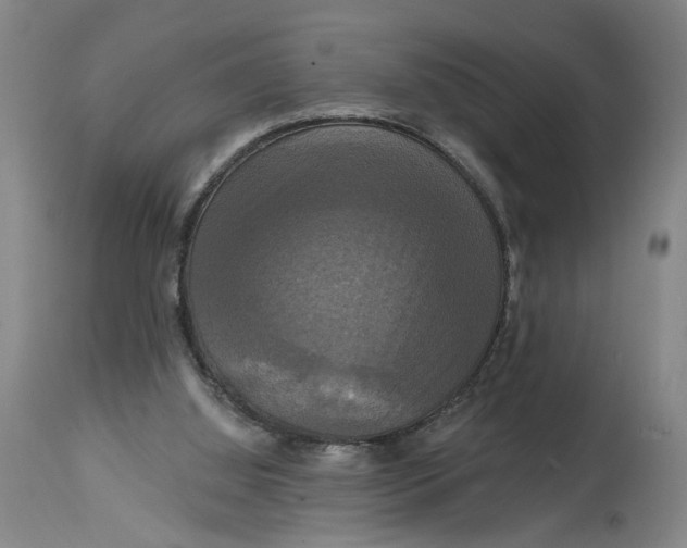 X0000114720060200911121741