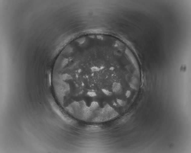 X0000114720061200911121741