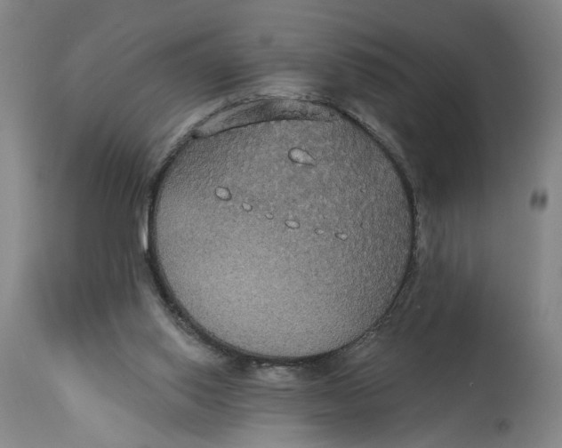 X0000114720062200911121741