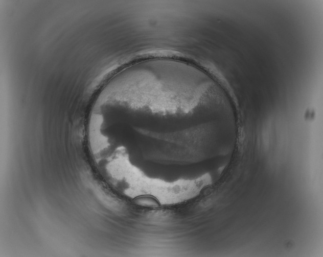 X0000114720063200911121741