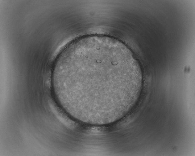 X0000114720064200911121741