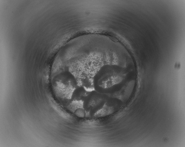 X0000114720065200911121741