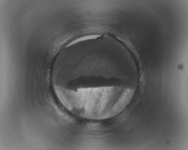 X0000114720066200911121741