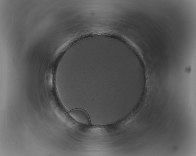 X0000114720067200911121741