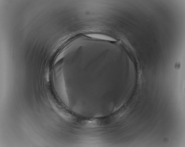 X0000114720068200911121741