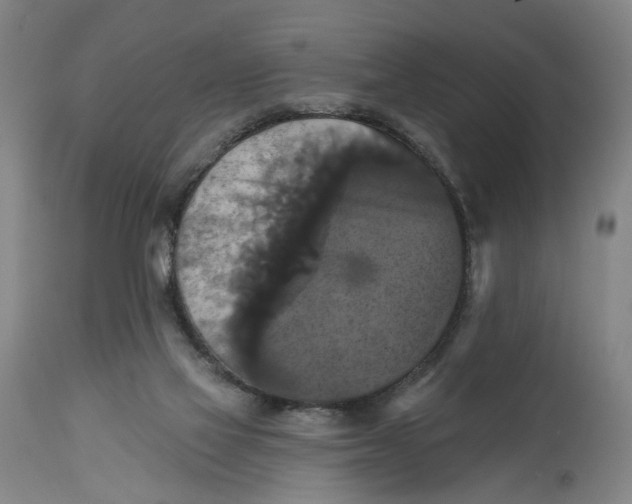 X0000114720069200911121741