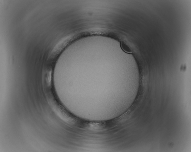 X0000114720070200911121742