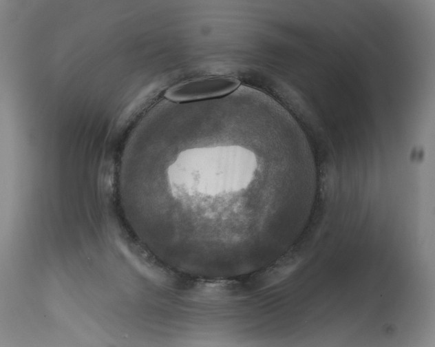 X0000114720072200911121742