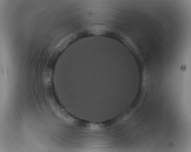 X0000114720073200911121742