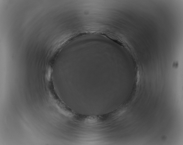 X0000114720076200911121742