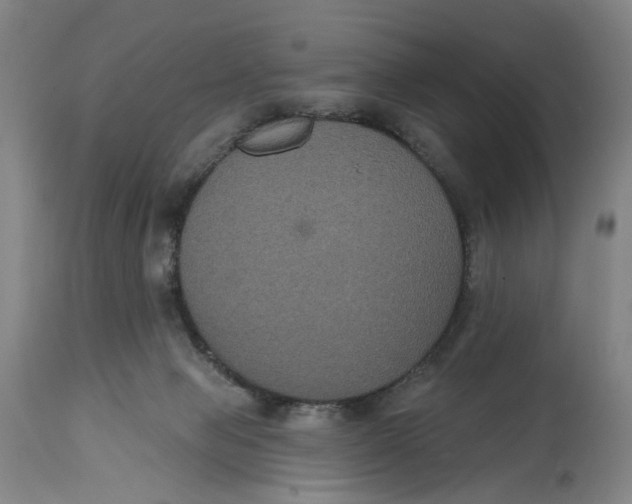 X0000114720077200911121742