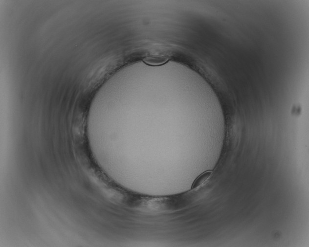 X0000114720078200911121742