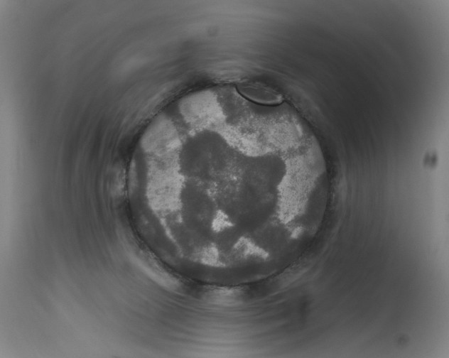 X0000114720081200911121742