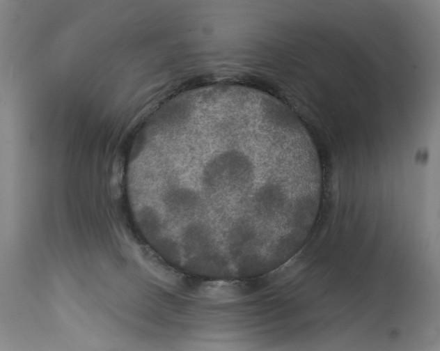 X0000114720082200911121742