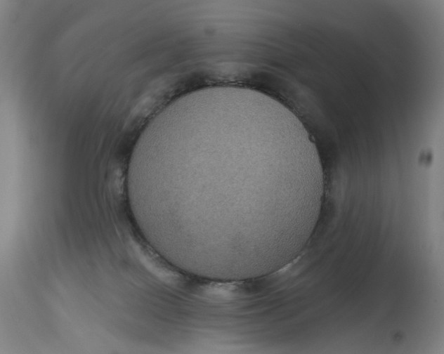 X0000114720086200911121742