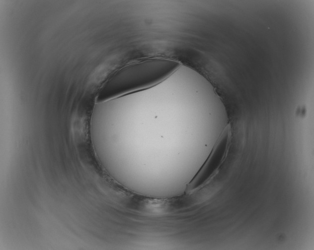 X0000114720088200911121742