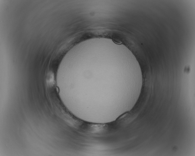 X0000114720089200911121742