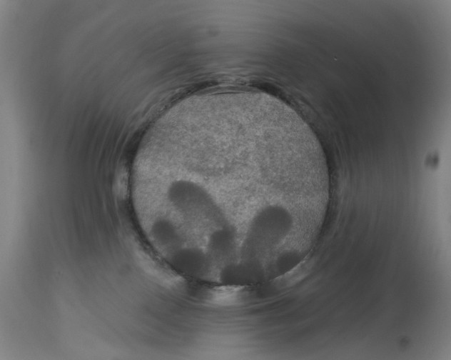 X0000114720090200911121742