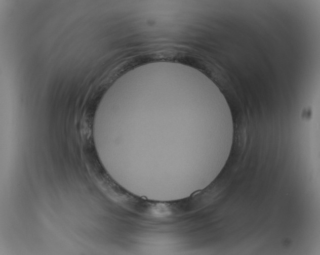 X0000114720091200911121742