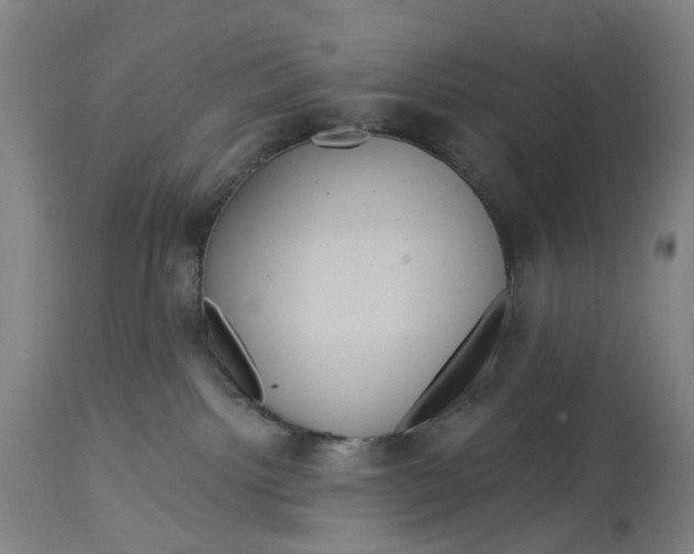 X0000114720092200911121742