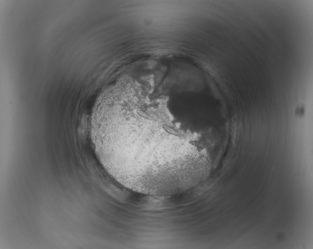 X0000114720093200911121742