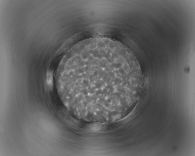 X0000114720094200911121742