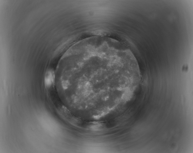 X0000114720095200911121742