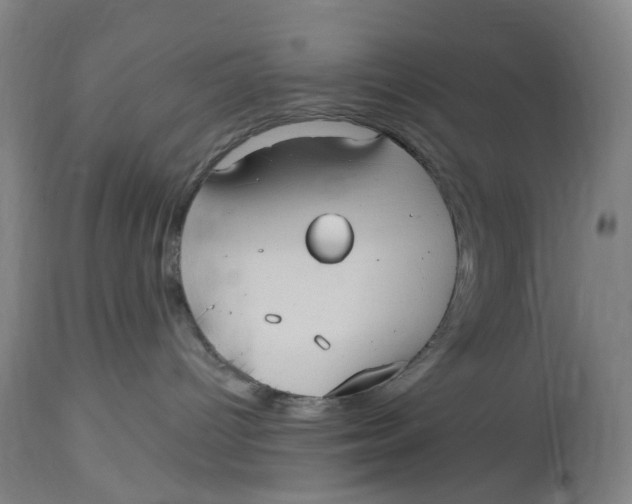 X0000114720096200911121742