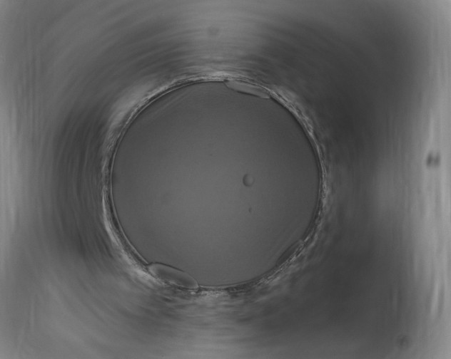 X0000114720097200911121741