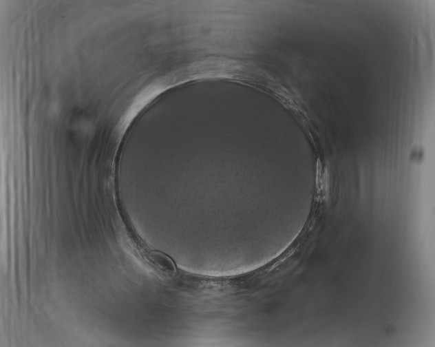 X0000114720099200911121741