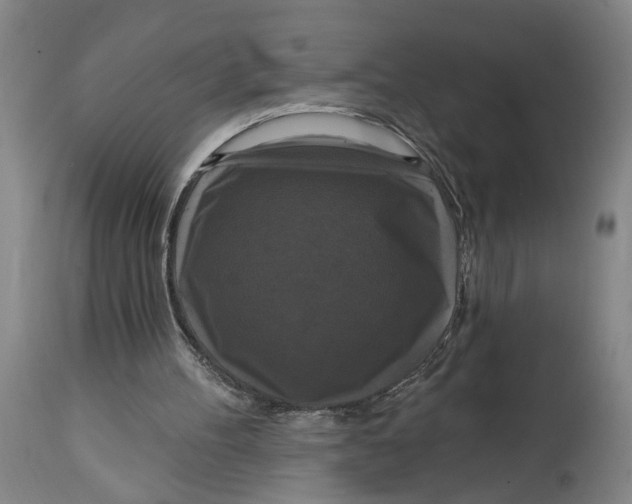 X0000114720100200911121741