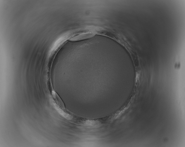 X0000114720101200911121741