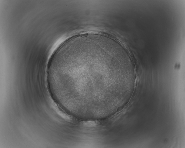 X0000114720102200911121741