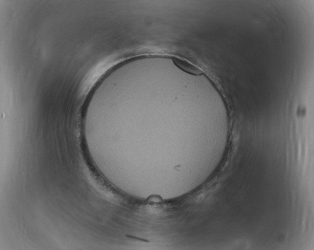 X0000114720103200911121741