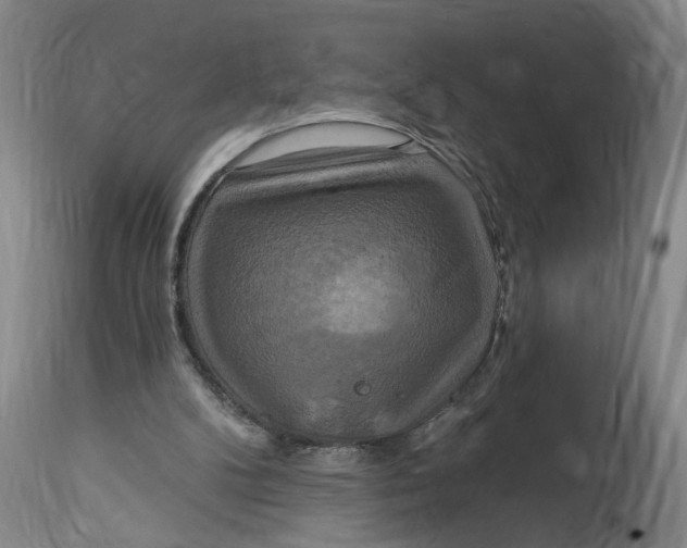 X0000114720104200911121741