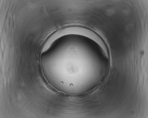 X0000114720105200911121741