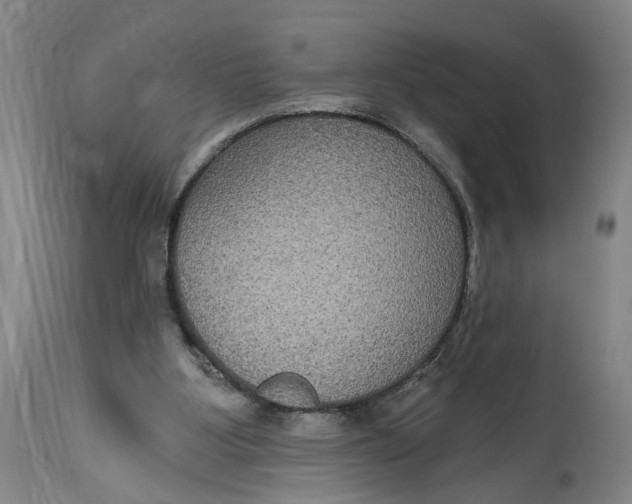 X0000114720107200911121741