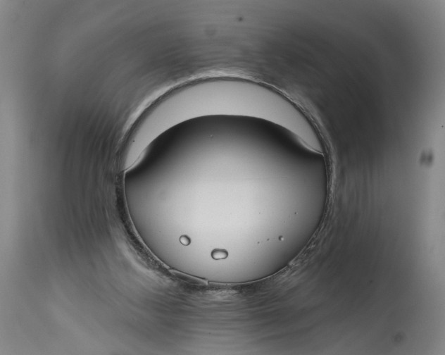 X0000114720108200911121741