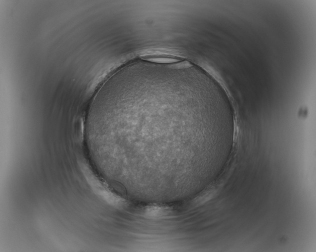 X0000114720109200911121741