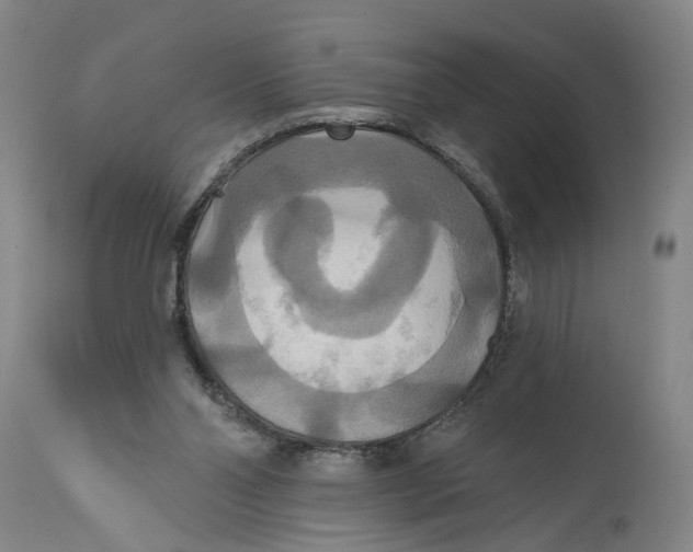 X0000114720110200911121741