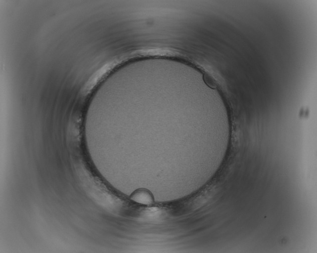 X0000114720111200911121741