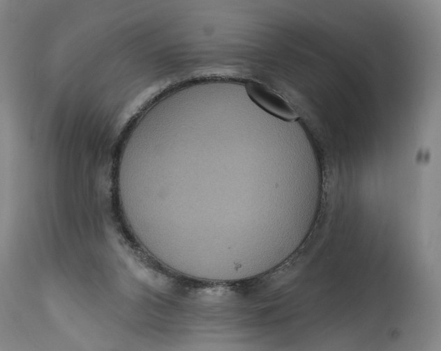 X0000114720112200911121741